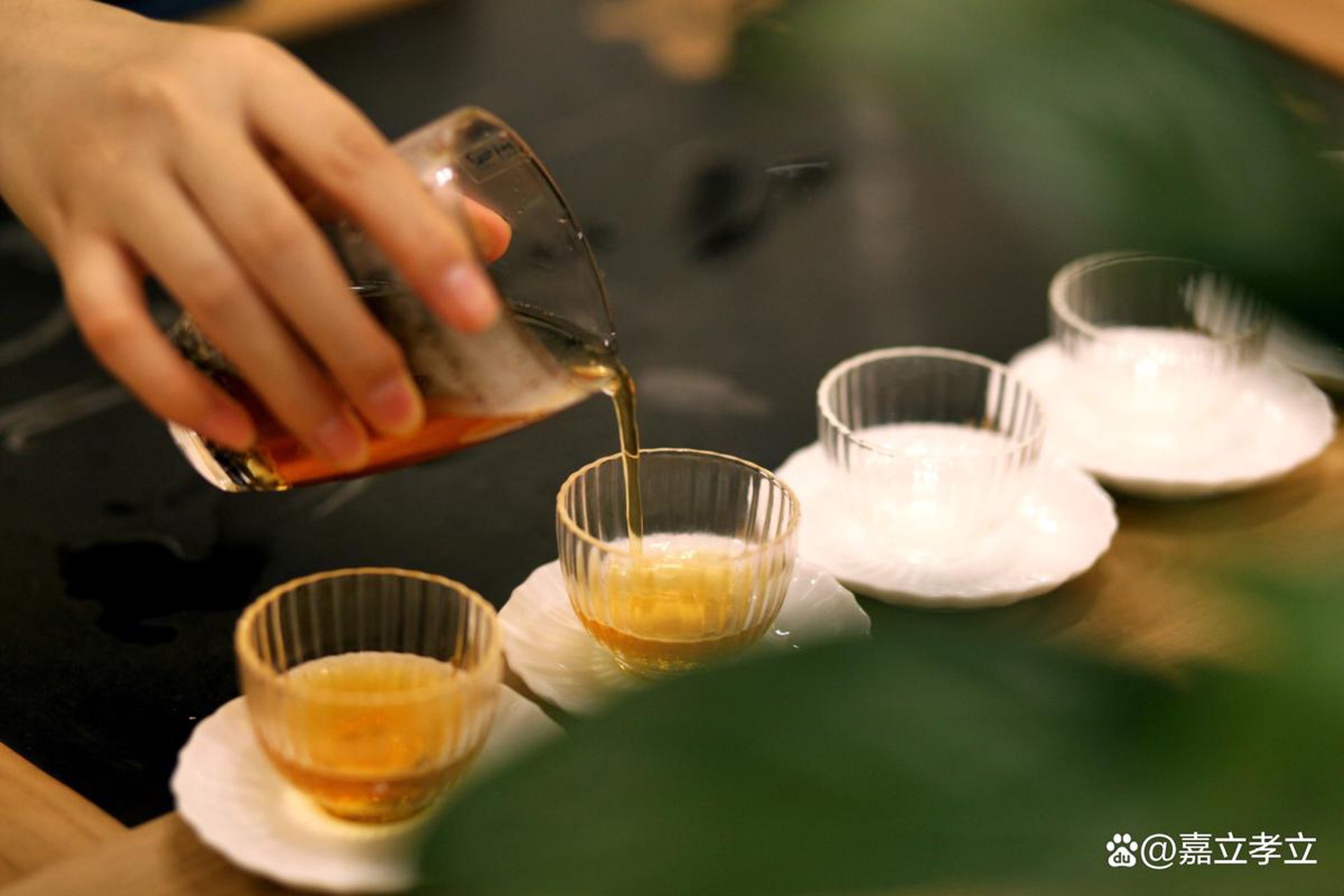 上海gm品茶