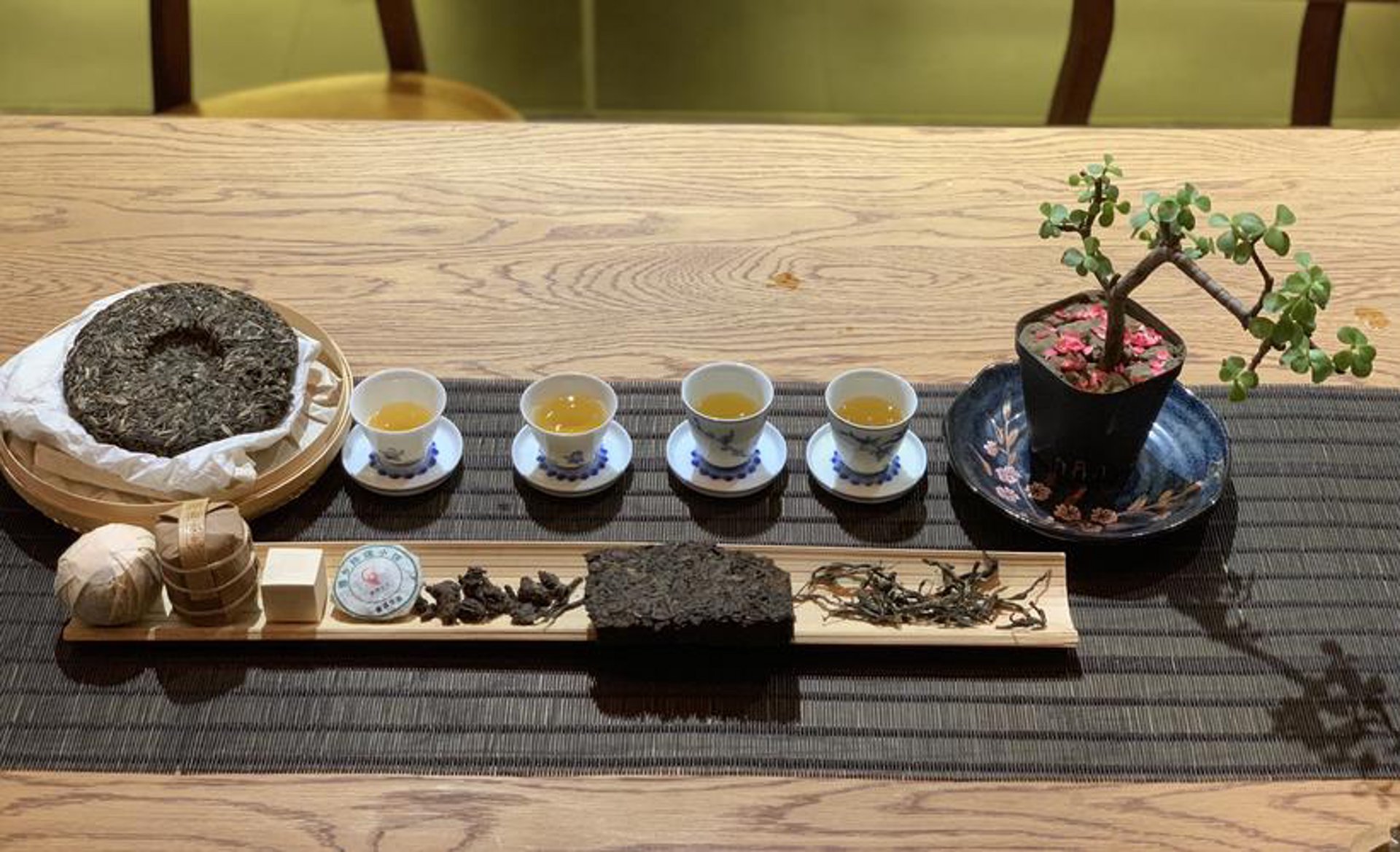上海gm品茶